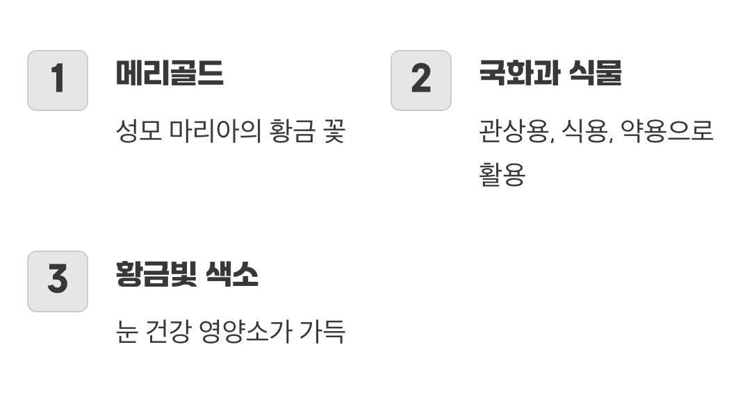 태양을 닮은 황금빛 꽃, 금송화