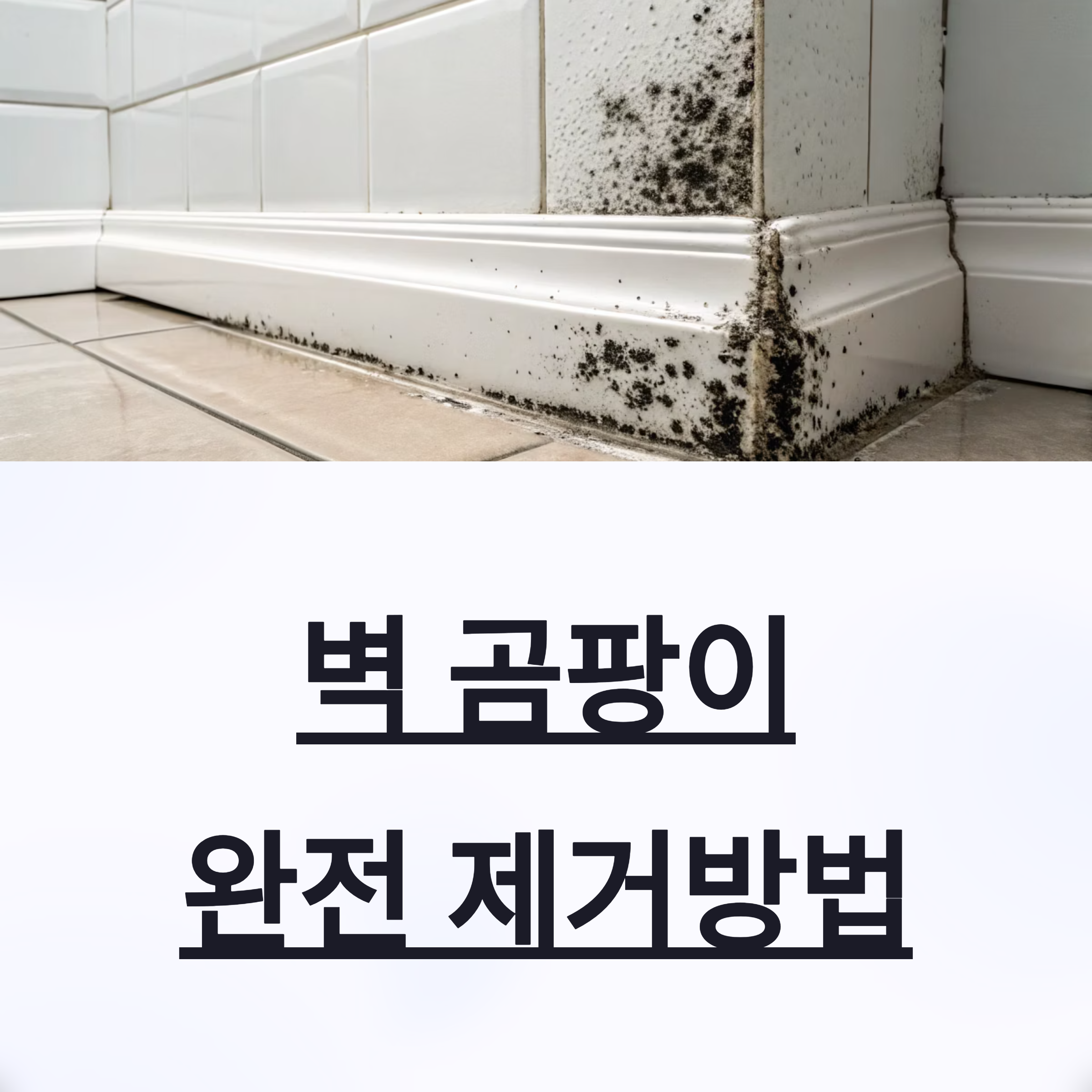 벽 곰팡이 완전 제거법