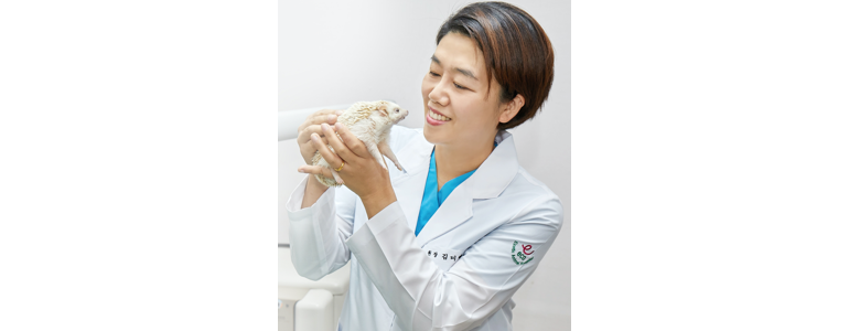 서울 송파구 동물병원