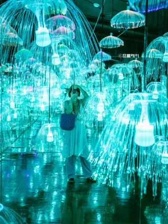 제주도 비올때 가볼만한곳 10곳 추천 실내 관광지로 모음_13