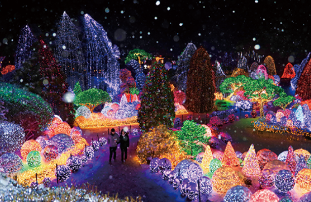 봄 축제-오색별빛정원전