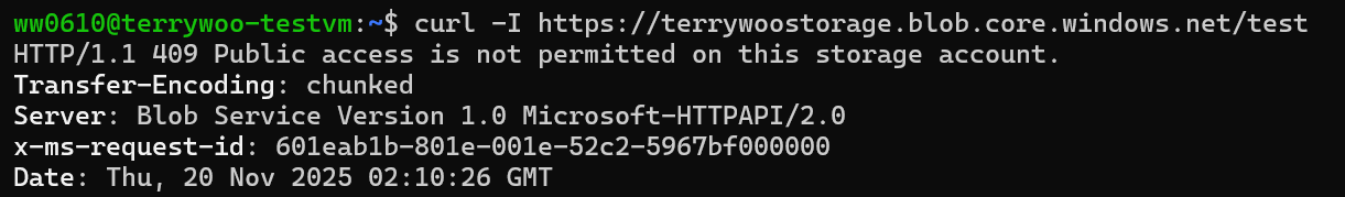 Service Endpoint 환경에서 VM에서 Storage로 curl 요청 시 409 응답을 확인하는 화면