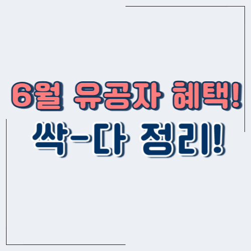 6월 보훈의 달 혜택 완전 정리! 국가유공자 항공권·문화시설 무료 리스트