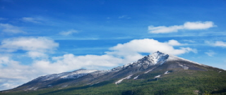 청년도약계좌 은행별 금리