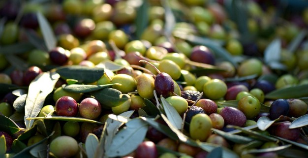 몸에 좋은 지방(불포화 지방), 몸에 나쁜 지방(트랜스 지방)