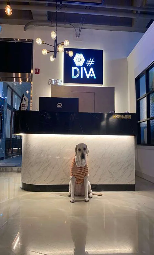 디바샵댄스학원