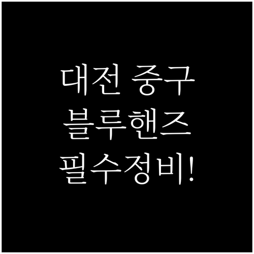 현대자동차 블루핸즈 대전 중구 지점별..