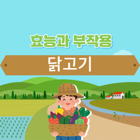 닭고기 효능과 부작용