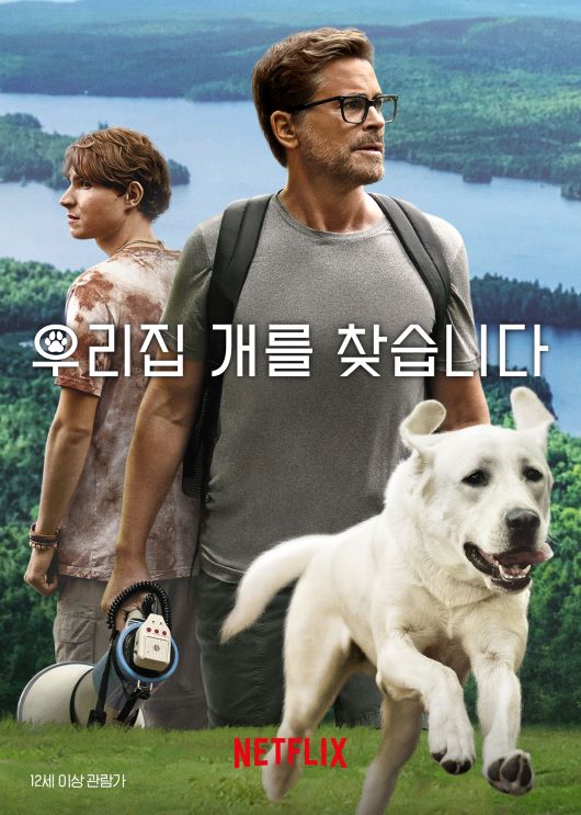 우리집개를찾습니다