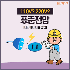 표준 전압 110V·220V, 국가별 채택 이유와 경제성