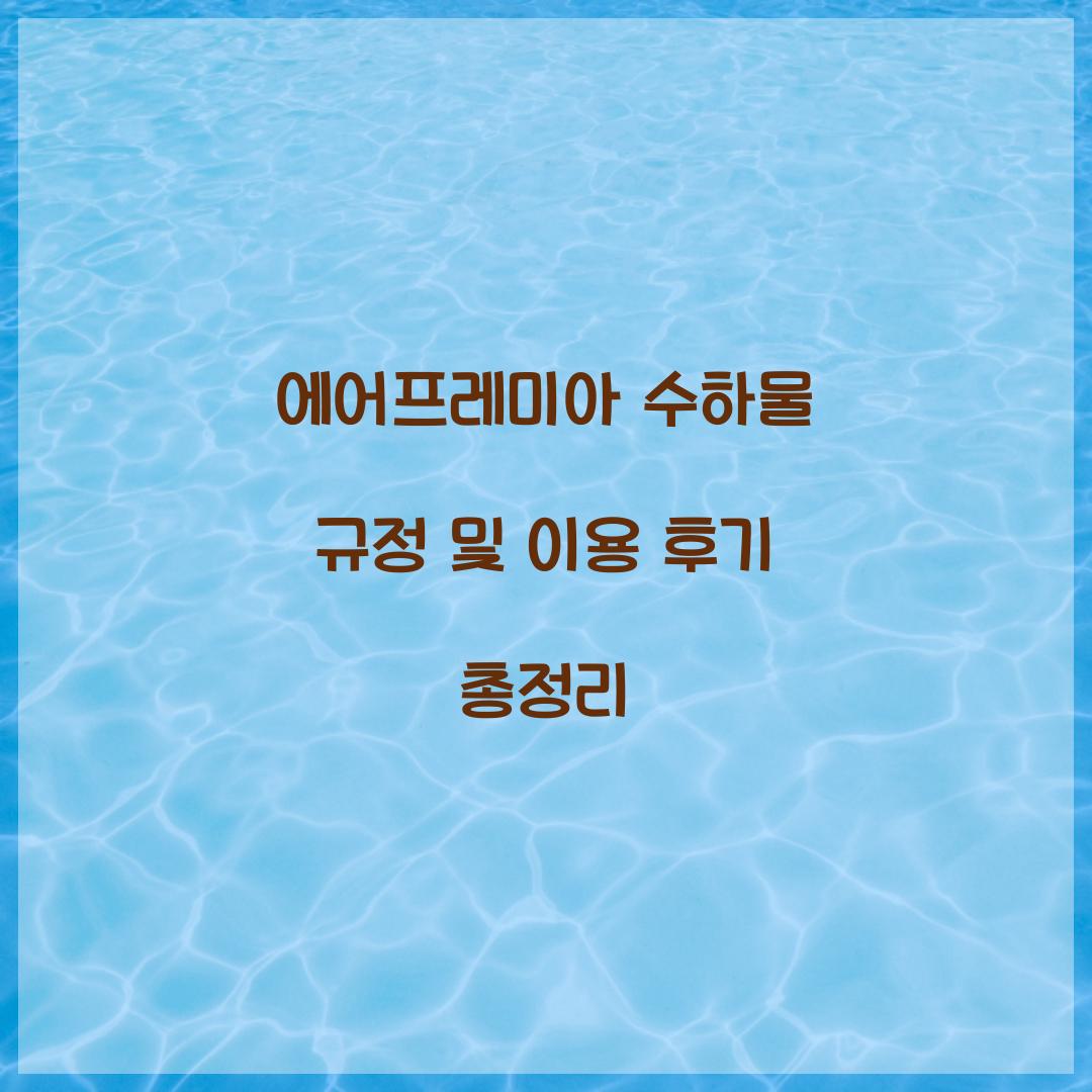 에어프레미아 수하물