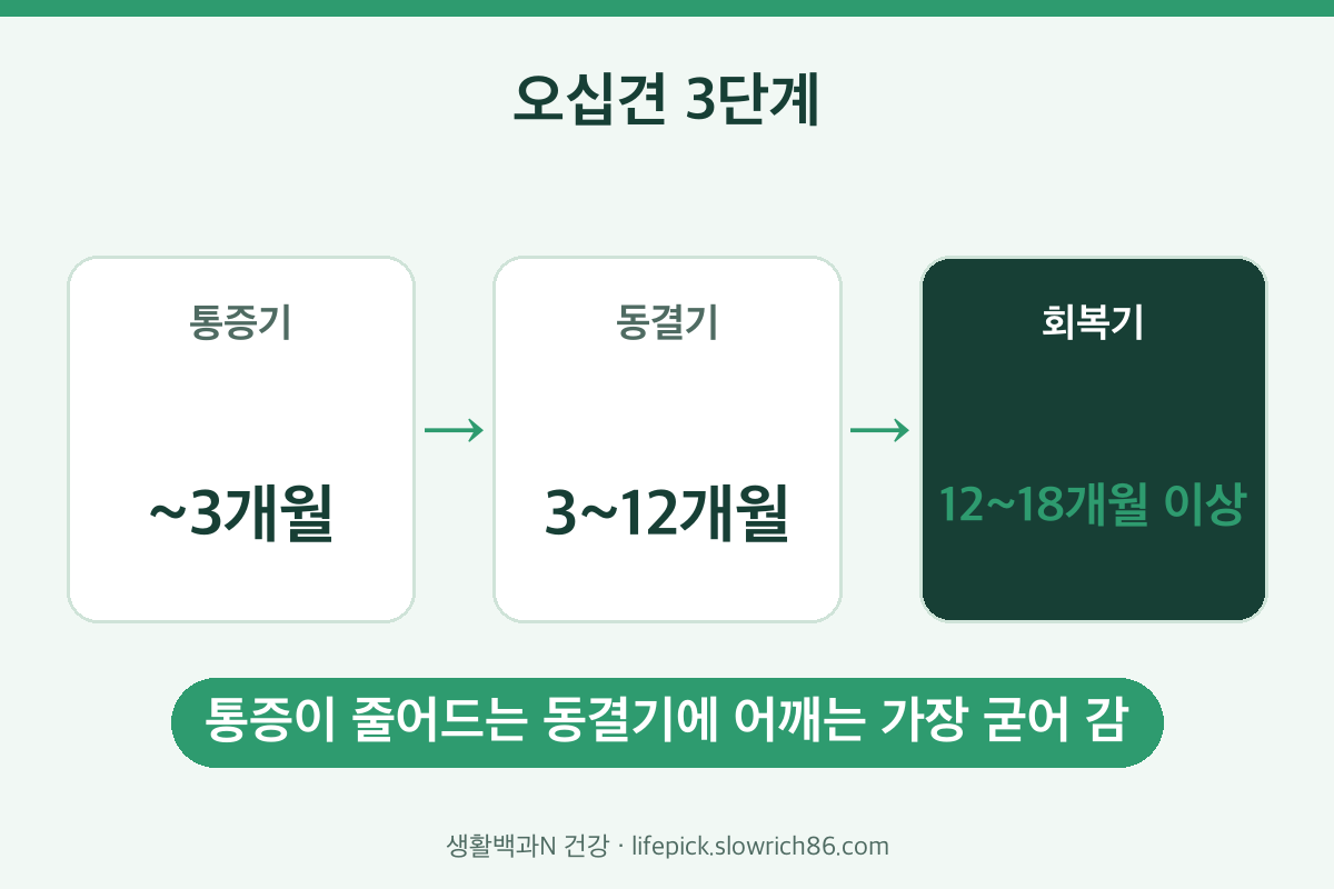 오십견 증상 단계별 기간 통증기 동결기 회복기