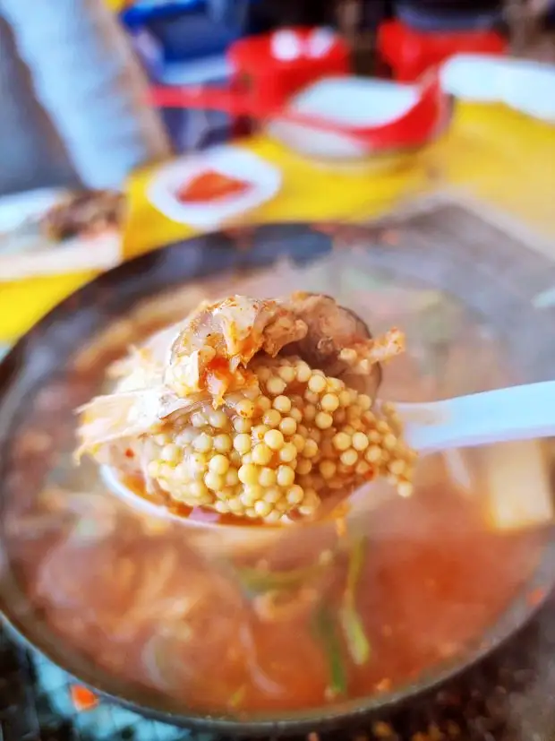 도루묵 찌개 구이 조림 고소한 알이 톡톡 강원 고성 맛집 먹자 포구 추천