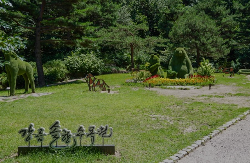 강릉솔향수목원