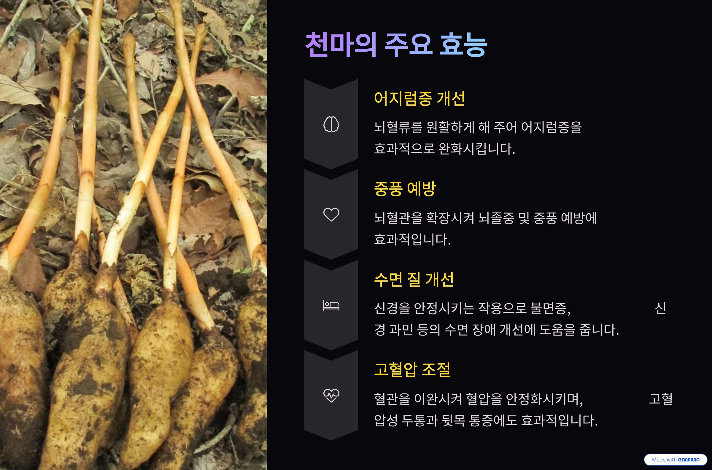 천마의 주요 효능