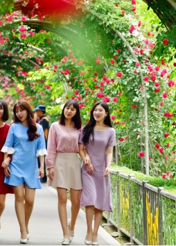 장미터널로-사람들이-지나고있다