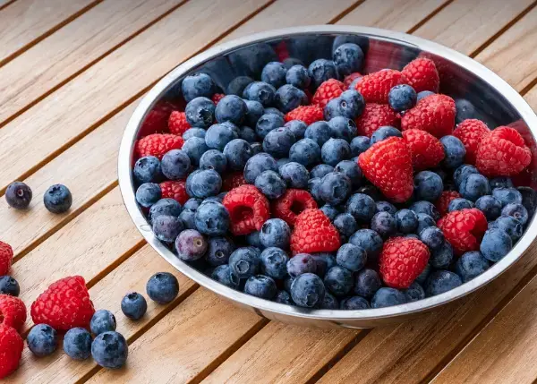 오디vs블루베리 효능 수확시기부터 다르다 슈퍼푸드 알아보기