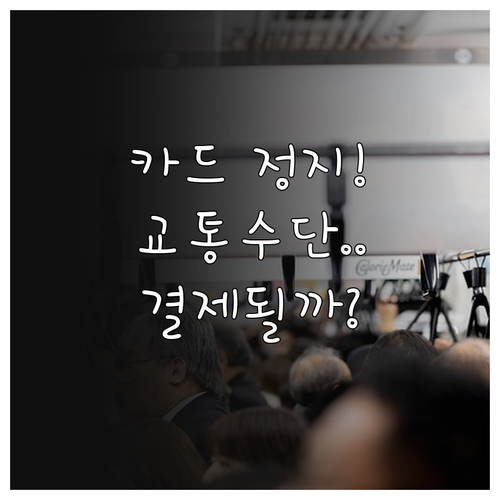 모두의카드 일시정지 상태에서 대중교통..