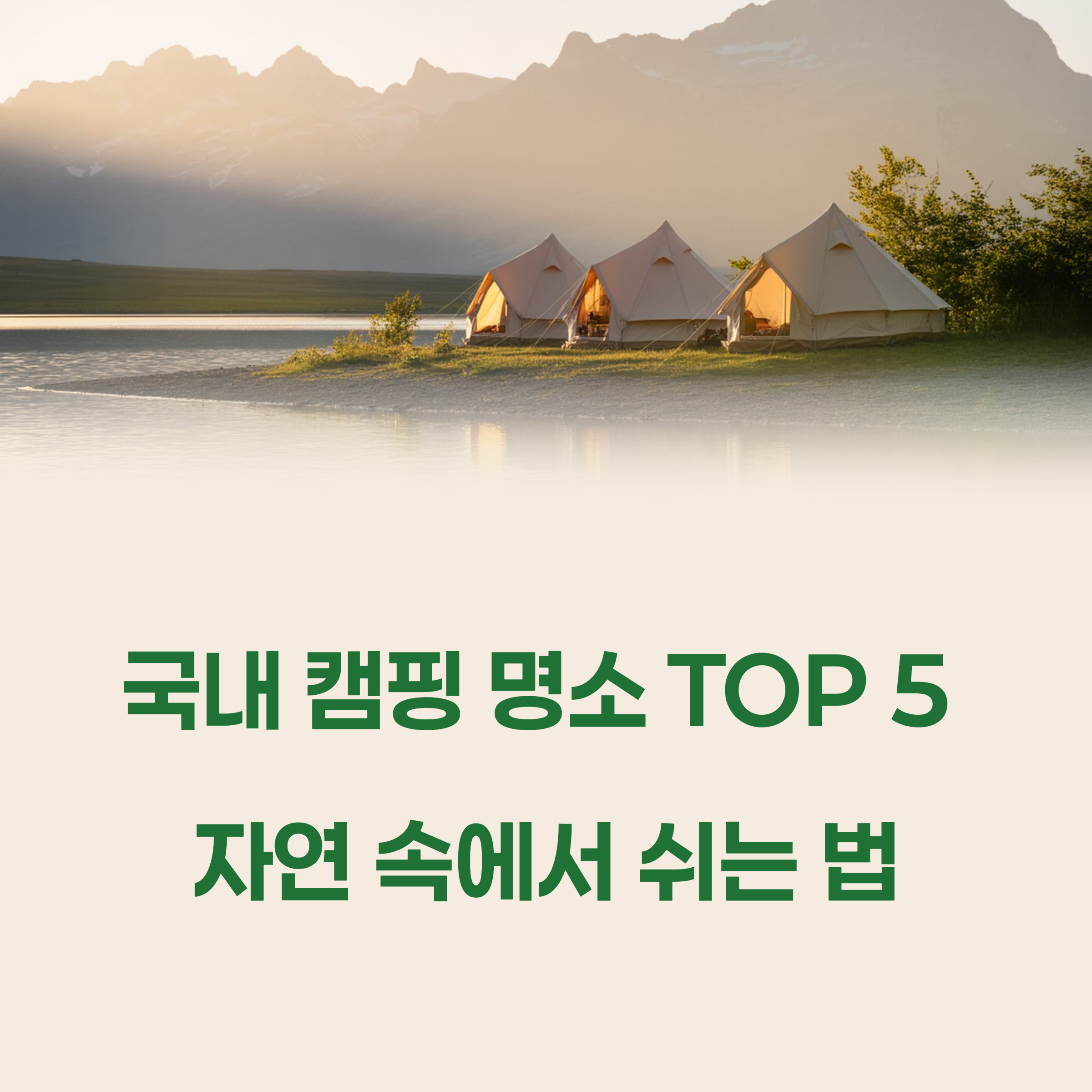 국내 캠핑 명소 TOP 5