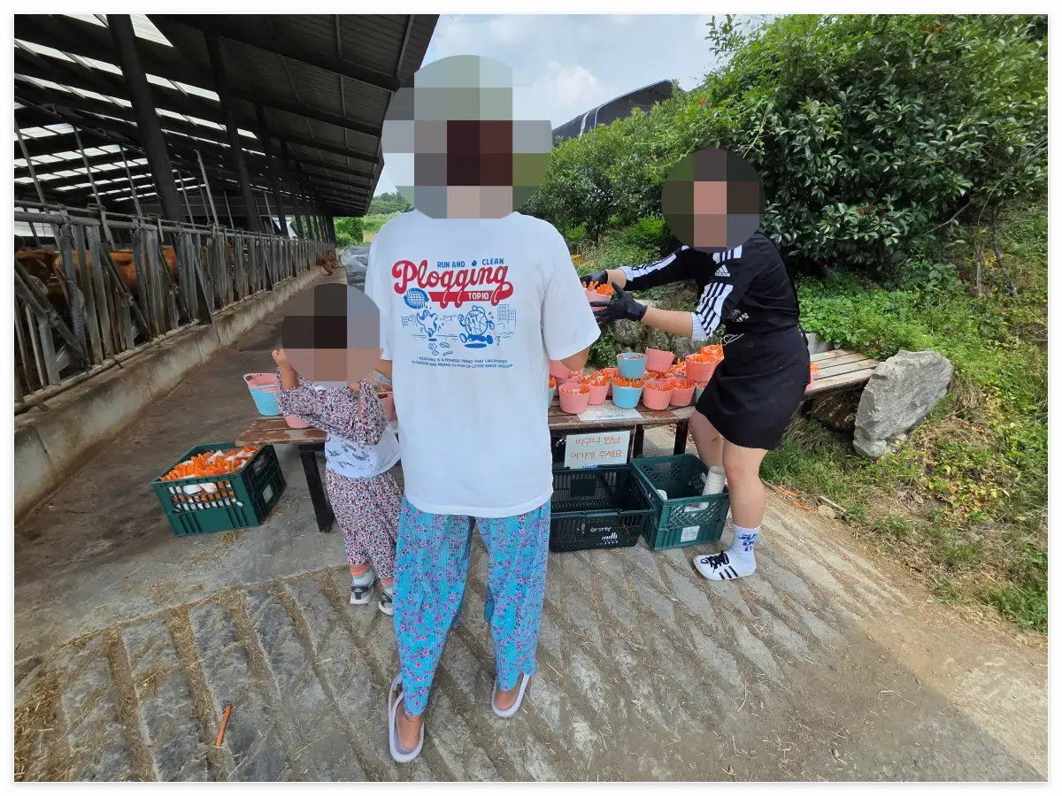 먹이 받기