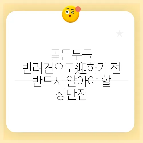 골든두들 반려견으로迎하기 전 반드시 알아야 할 장단점