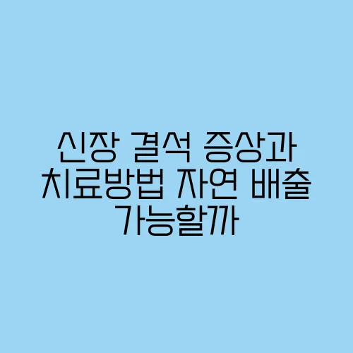 신장 결석 증상과 치료방법 자연 배출 가능할까