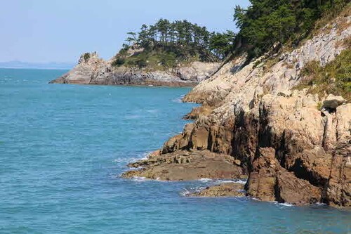 6시내고향 8297회 전남 여수 손죽도 배편 및 손죽도어촌마을식당