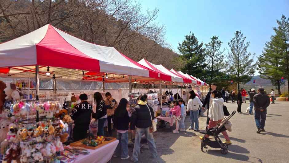 에덴벚꽃길 벚꽃축제 완벽 가이드