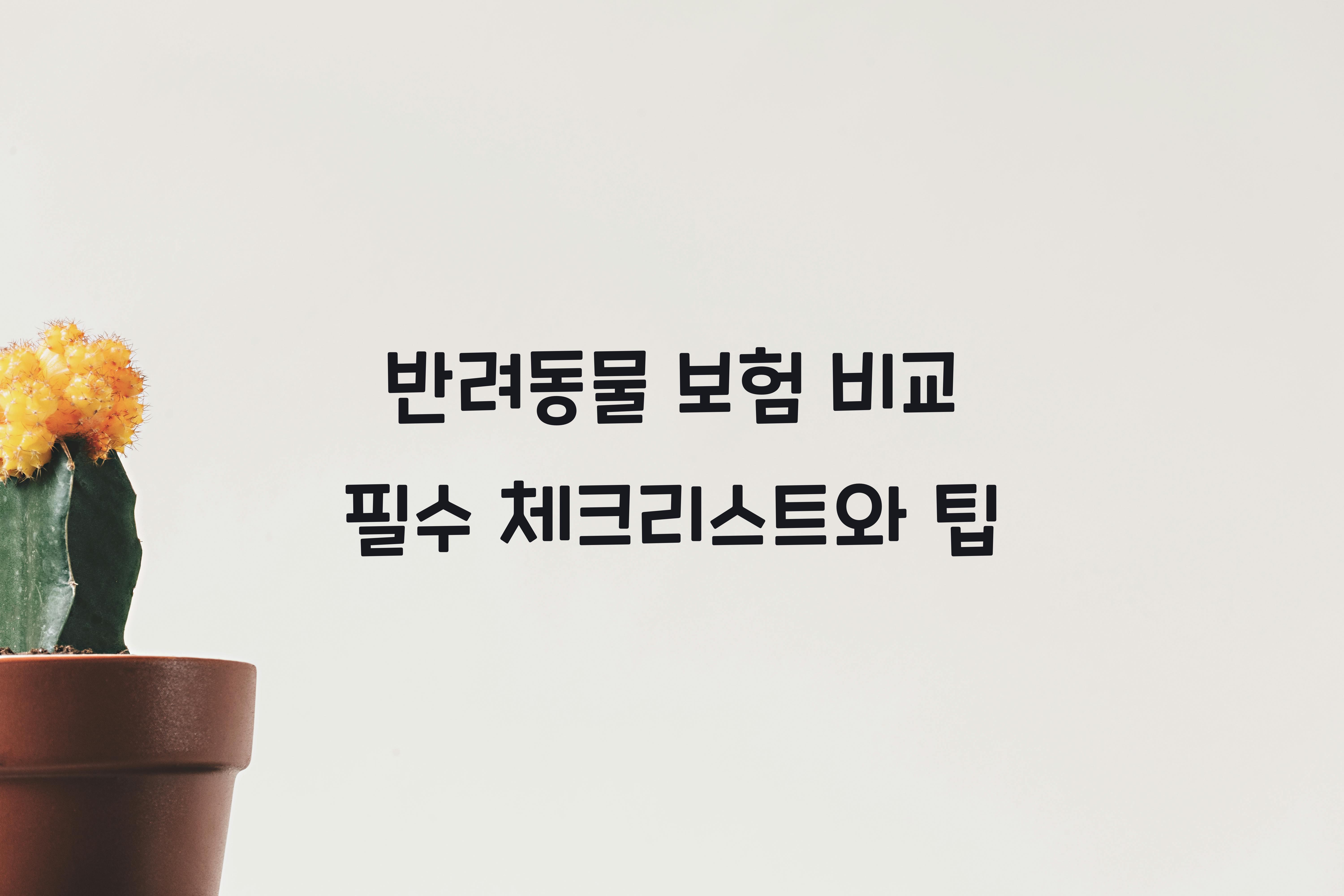 반려동물 보험 비교