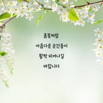 3월 인사말 모음 예시 문자_4