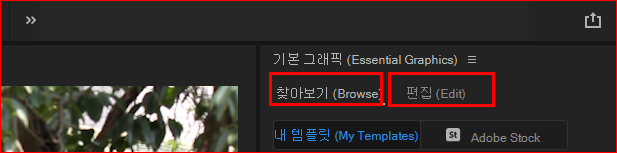 기본그래픽 2개의 탭