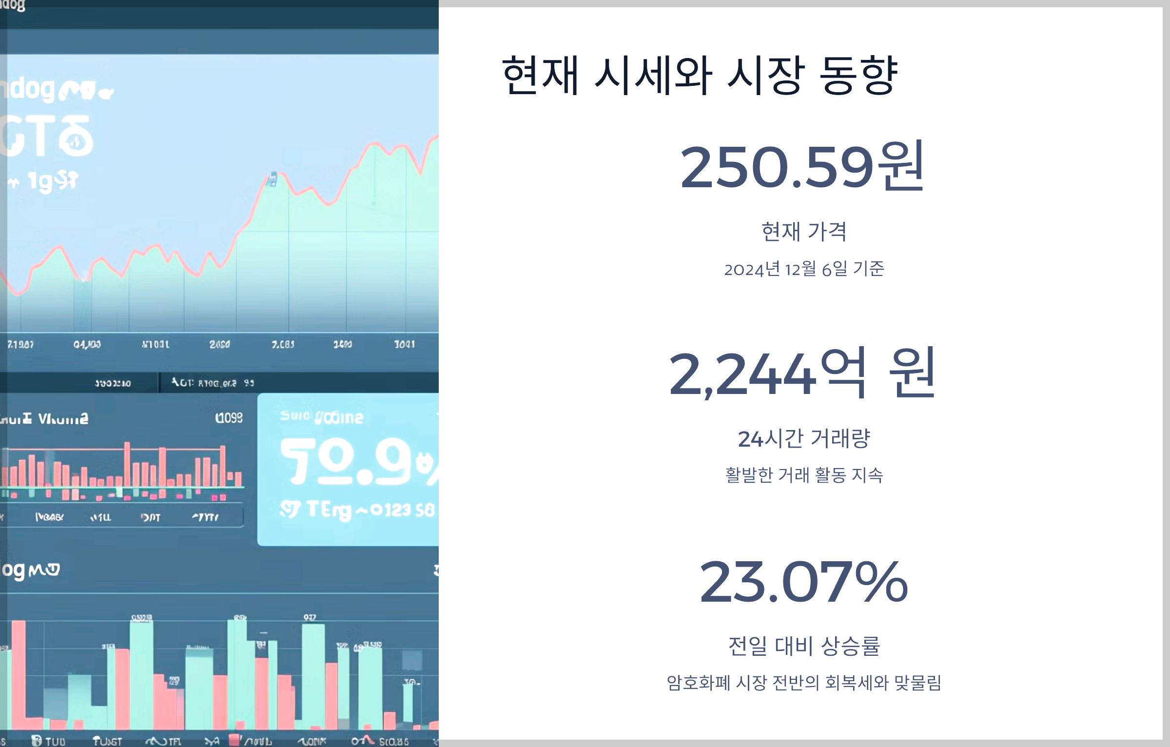 현재 시세와 시장 동향