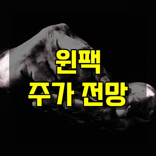 윈팩 주가 전망