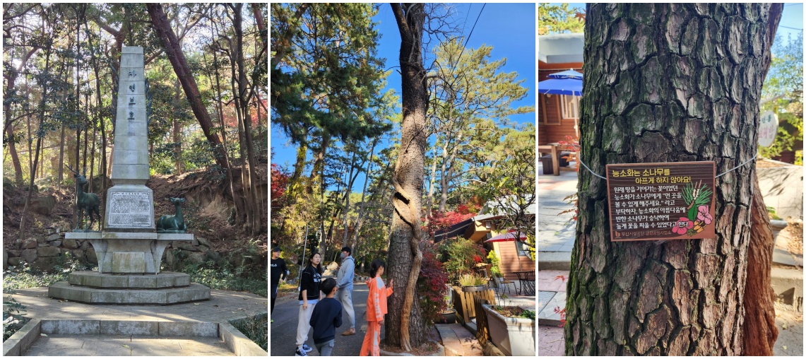 금강공원 사진