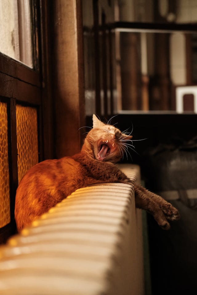 난로 vs 보일러 난방비&amp;#44; 실제 요금 비교 결과