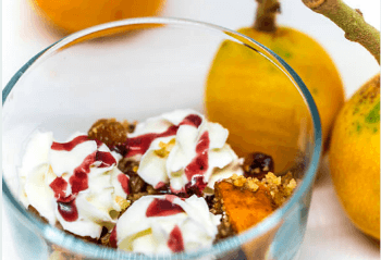 동남아 비파열매