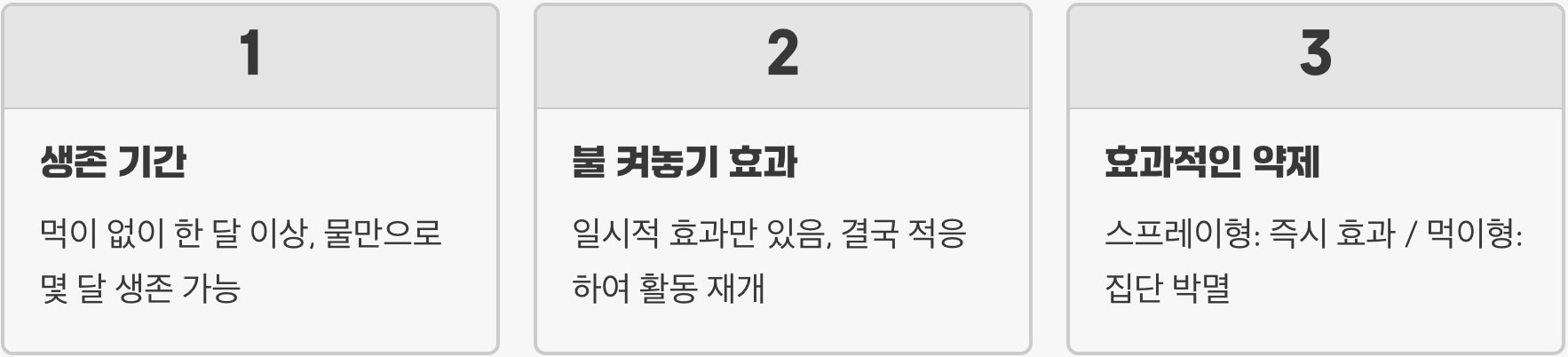 집바퀴가 유독 밤에만 활동하는 이유와 숨어있는 장소 찾기