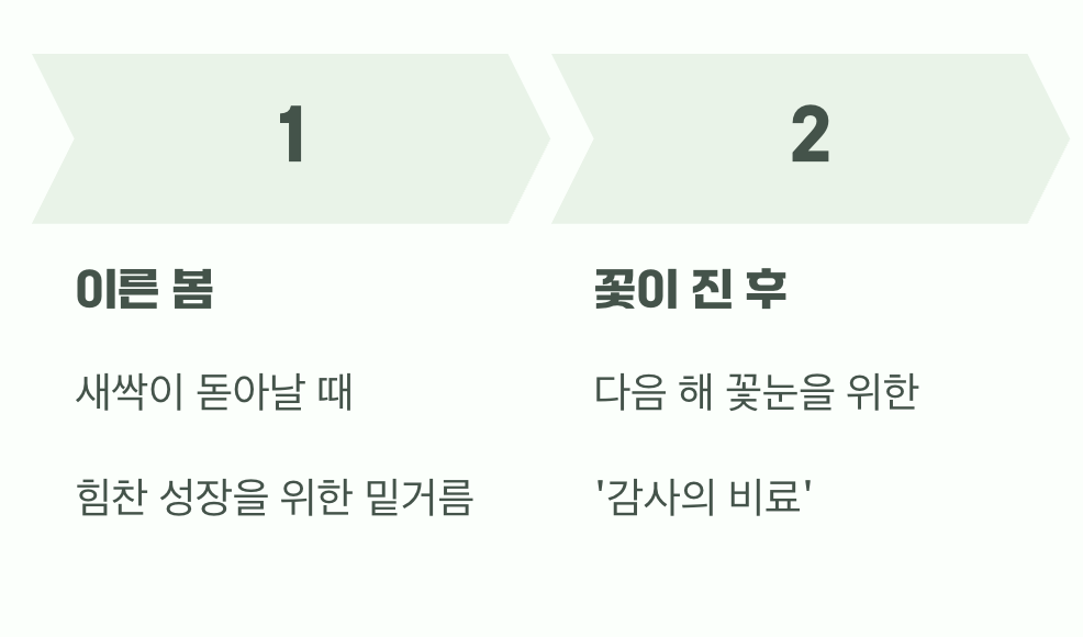 꽃을 위한 보약&amp;#44; &amp;#39;거름 주는 법&amp;#39;