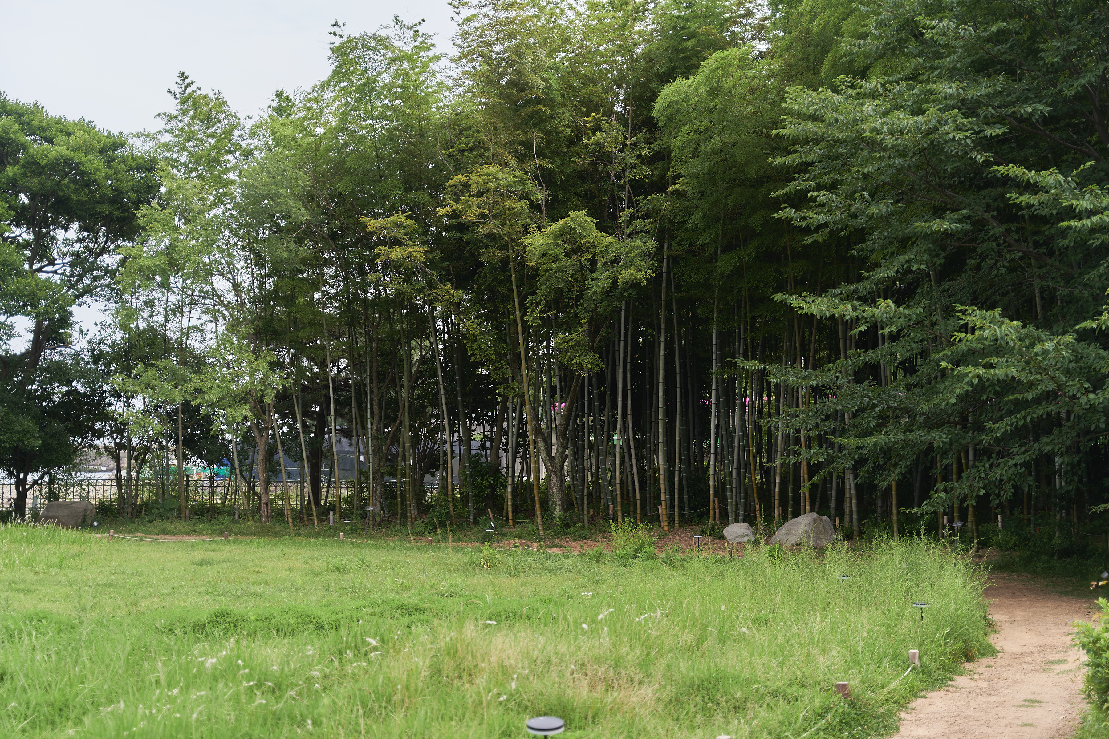 스타벅스 임랑원