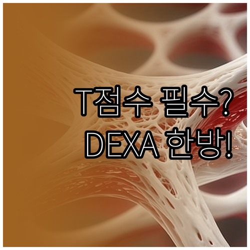 골다공증 검사 DEXA부터 T점수 해..