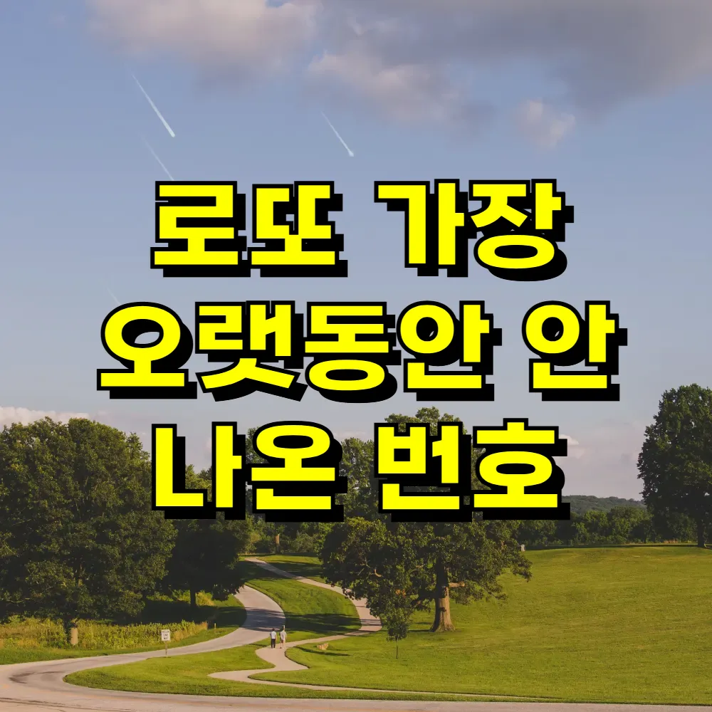 로또 가장 오랫동안 안 나온 번호