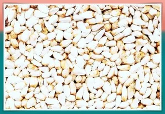 홍화씨 효능 영양성분 홍화씨유 먹는법_19