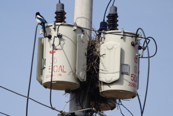 전봇대 지락사고