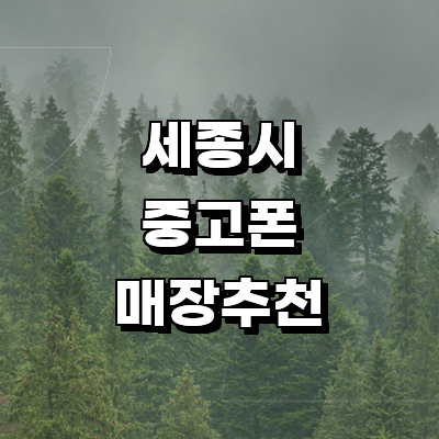 세종시 중고폰