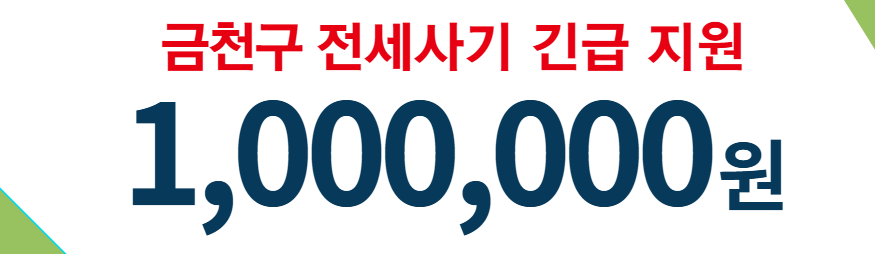 전세사기 긴급 지원금 관련 사진