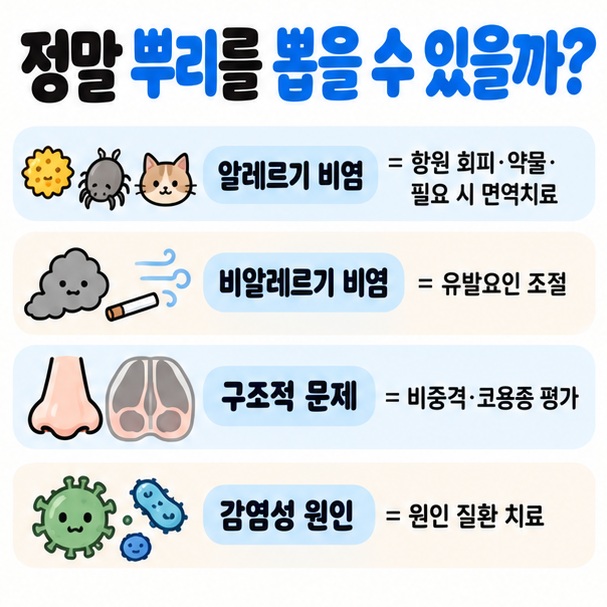 알레르기 비염 비알레르기 비염 구조적 문제 감염성 원인을 구분하고 관리 방향을 비교한 이미지