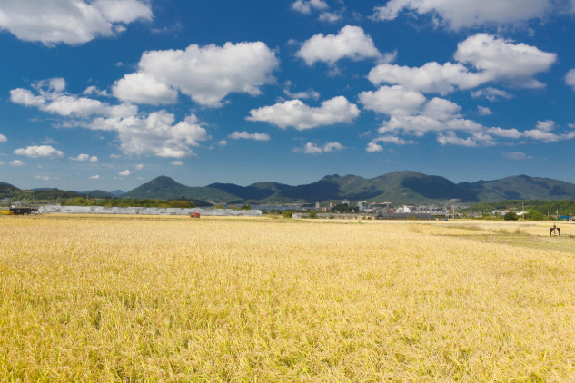 우주에서 찍은 사진이 농사를 도와주는 이유