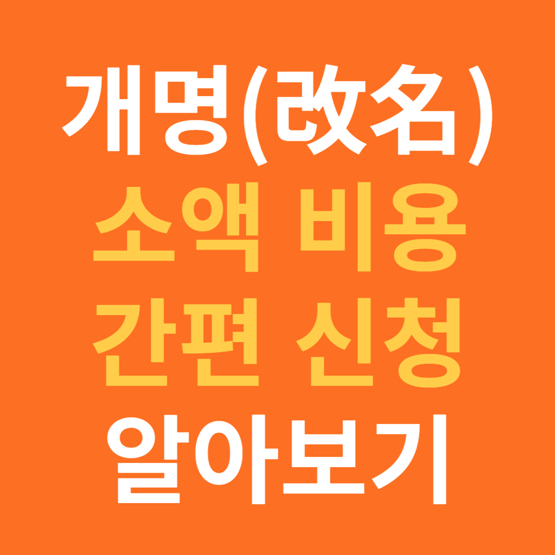 개명신청 소액 간편 신청