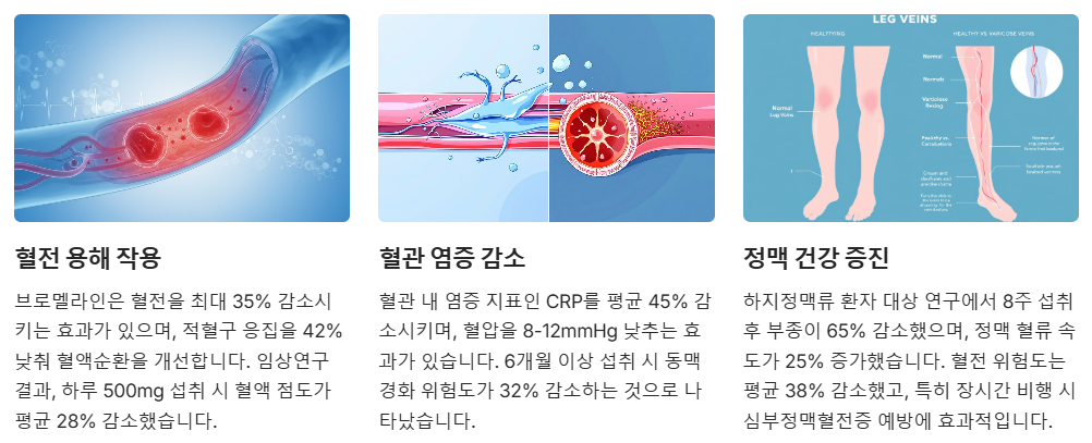 혈액순환 개선 심혈관 건강 보호
