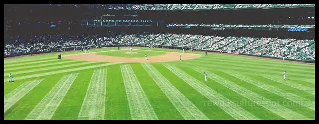 2024 WBSC 야구 프리미어 12 대표팀 명단 (28명 최종 확정)